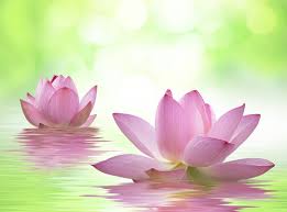 奈良でヒプノセラピー in セラピールームまなわ